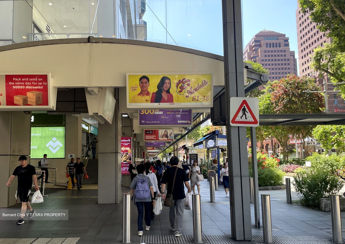 Lucky Plaza (D9), Shop House #448564161